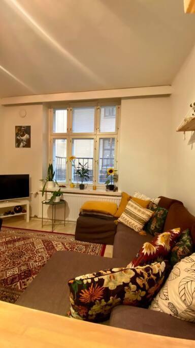 Lovely Apartment In The Centre, Street Level And Inner Yard 赫尔辛基 外观 照片