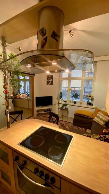 Lovely Apartment In The Centre, Street Level And Inner Yard 赫尔辛基 外观 照片